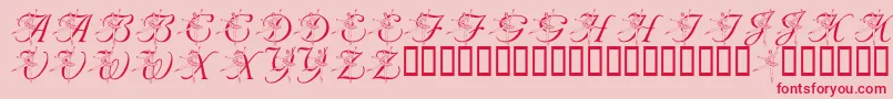LmsNutcrackerBallet Font – Red Fonts on Pink Background