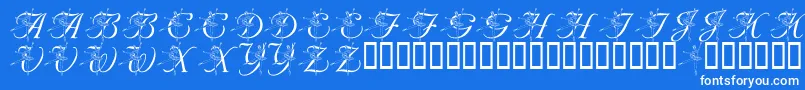 LmsNutcrackerBallet Font – White Fonts on Blue Background