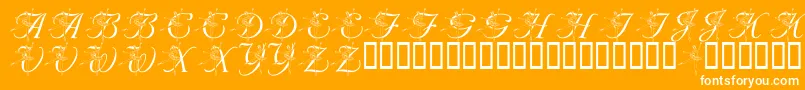 Weitere Informationen zur LmsNutcrackerBallet-Schriftart LmsNutcrackerBallet-Schriftart – Weiße Schriften auf orangefarbenem Hintergrund