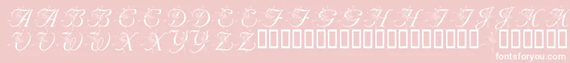 LmsNutcrackerBallet-Schriftart – Weiße Schriften auf rosa Hintergrund