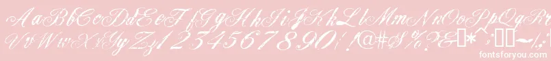 Civilian Font – White Fonts on Pink Background