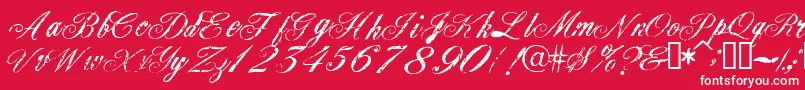 Civilian Font – White Fonts on Red Background