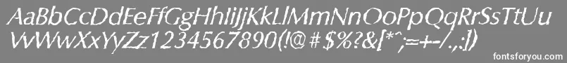 フォントColumbiarandomItalic – 灰色の背景に白い文字