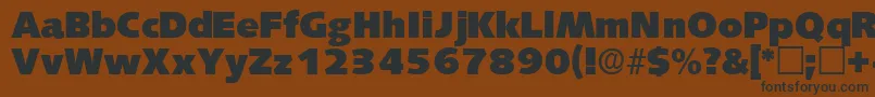 LansettedisplaysskRegular Font – Black Fonts on Brown Background