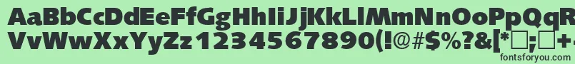 LansettedisplaysskRegular Font – Black Fonts on Green Background