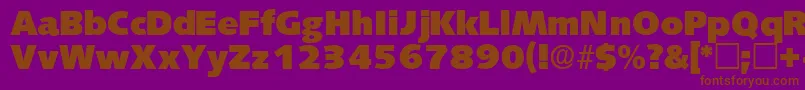 LansettedisplaysskRegular Font – Brown Fonts on Purple Background