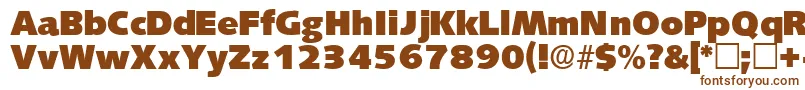 LansettedisplaysskRegular Font – Brown Fonts on White Background