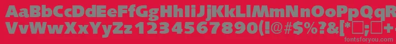 LansettedisplaysskRegular-Schriftart – Graue Schriften auf rotem Hintergrund