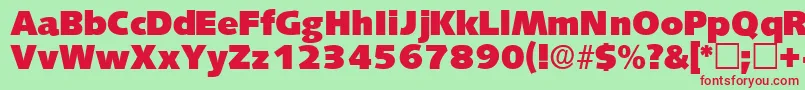 LansettedisplaysskRegular Font – Red Fonts on Green Background