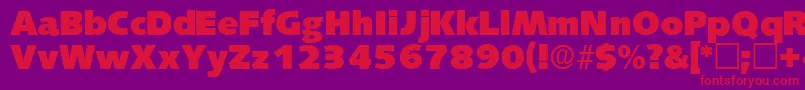 LansettedisplaysskRegular-Schriftart – Rote Schriften auf violettem Hintergrund