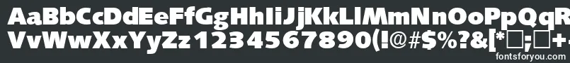 LansettedisplaysskRegular Font – White Fonts on Black Background