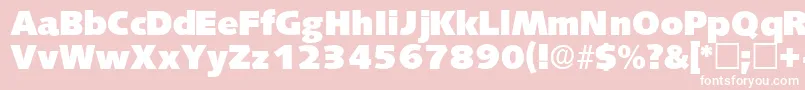 LansettedisplaysskRegular Font – White Fonts on Pink Background