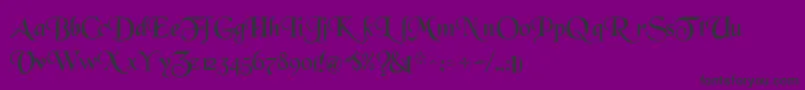 WhiteRegularTtnorm Font – Black Fonts on Purple Background