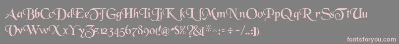 WhiteRegularTtnorm Font – Pink Fonts on Gray Background