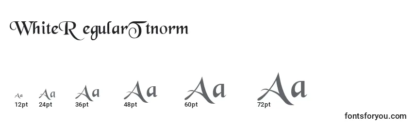 WhiteRegularTtnorm Font Sizes