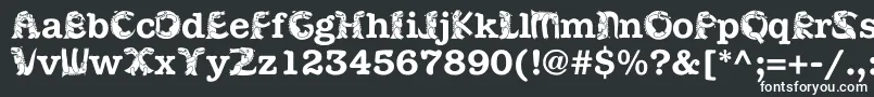 Czcionka Kadinosob – białe czcionki