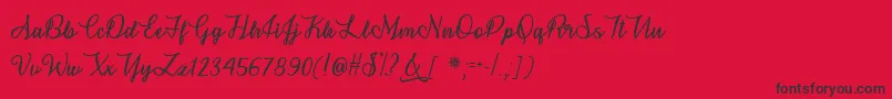 SnowflakeCalligraphyOtf Font – Black Fonts on Red Background