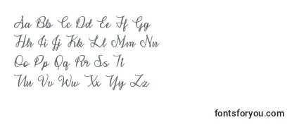 Review of the SnowflakeCalligraphyOtf Font