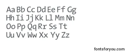 Обзор шрифта Typewriterssubstitute