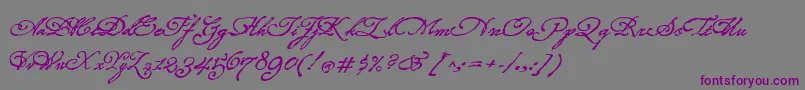 フォントRoanokeScript – 紫色のフォント、灰色の背景