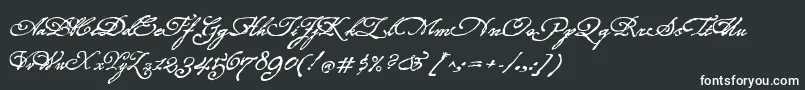 フォントRoanokeScript – 黒い背景に白い文字