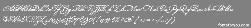 フォントRoanokeScript – 灰色の背景に白い文字