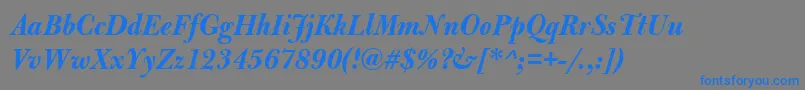 BulmerMtDisplayBolditalic Font – Blue Fonts on Gray Background