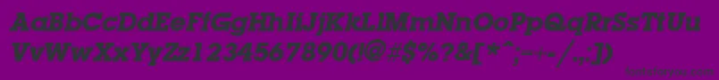 Laplandextrabold ffy Font – Black Fonts on Purple Background