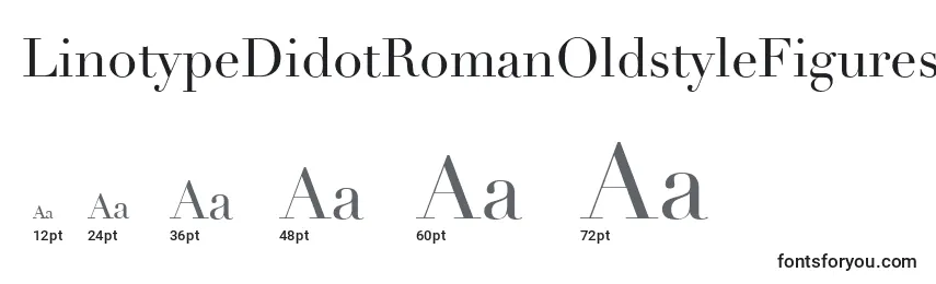 Размеры шрифта LinotypeDidotRomanOldstyleFigures