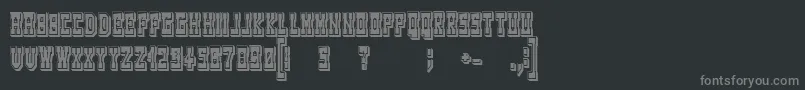 WesterngamesRegular Font – Gray Fonts on Black Background