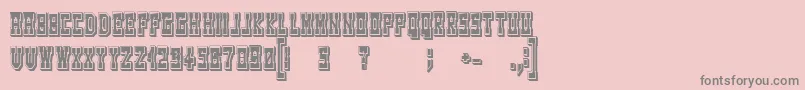 WesterngamesRegular Font – Gray Fonts on Pink Background