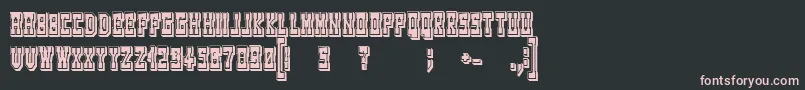 WesterngamesRegular Font – Pink Fonts on Black Background