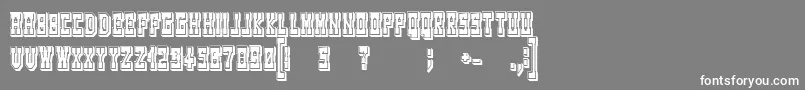 WesterngamesRegular Font – White Fonts on Gray Background