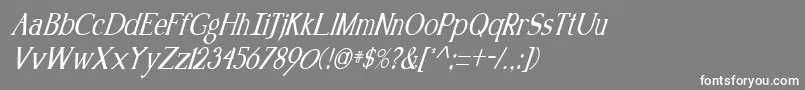 フォントKennonItalic – 灰色の背景に白い文字