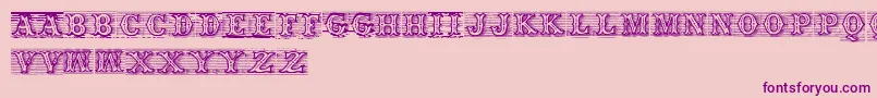 Tagwood Font – Purple Fonts on Pink Background