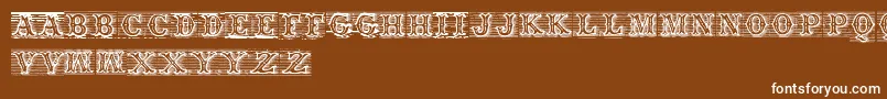 Tagwood Font – White Fonts on Brown Background