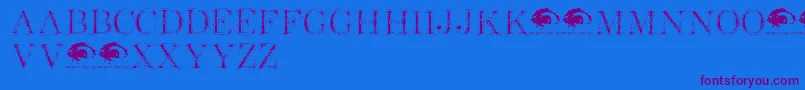 ShottyTransfertrial-Schriftart – Violette Schriften auf blauem Hintergrund