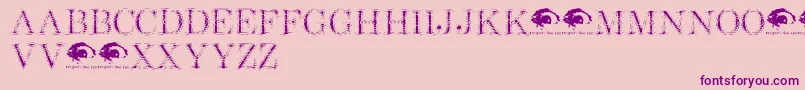 ShottyTransfertrial Font – Purple Fonts on Pink Background