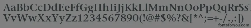 ItcStoneSerifLtSemibold-Schriftart – Schwarze Schriften auf grauem Hintergrund