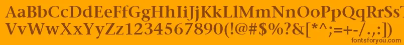 ItcStoneSerifLtSemibold Font – Brown Fonts on Orange Background