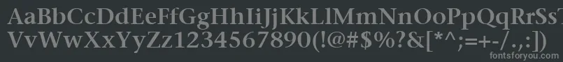 フォントItcStoneSerifLtSemibold – 黒い背景に灰色の文字