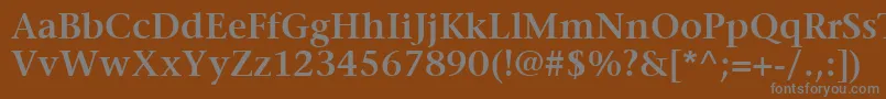 ItcStoneSerifLtSemibold-fontti – harmaat kirjasimet ruskealla taustalla