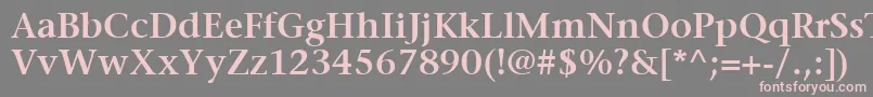 ItcStoneSerifLtSemibold Font – Pink Fonts on Gray Background