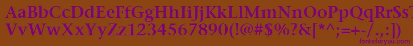 ItcStoneSerifLtSemibold Font – Purple Fonts on Brown Background