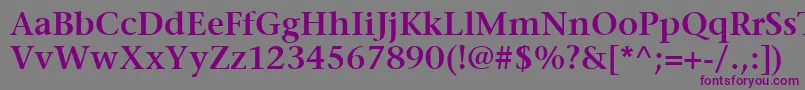 ItcStoneSerifLtSemibold Font – Purple Fonts on Gray Background