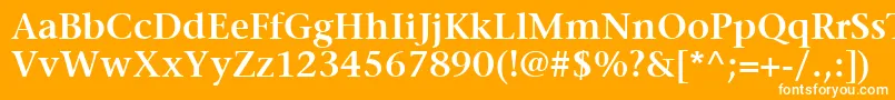 ItcStoneSerifLtSemibold Font – White Fonts on Orange Background