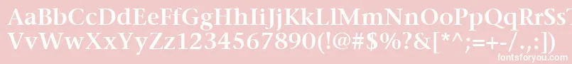 ItcStoneSerifLtSemibold Font – White Fonts on Pink Background