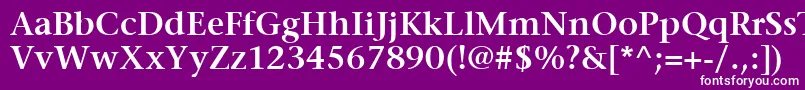 ItcStoneSerifLtSemibold Font – White Fonts on Purple Background
