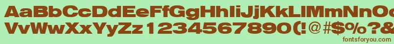 HelbaheavydbBold Font – Brown Fonts on Green Background