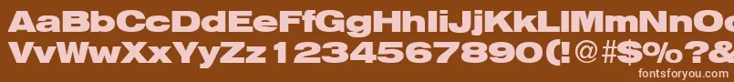 HelbaheavydbBold Font – Pink Fonts on Brown Background